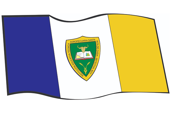 Bandera Institucional
